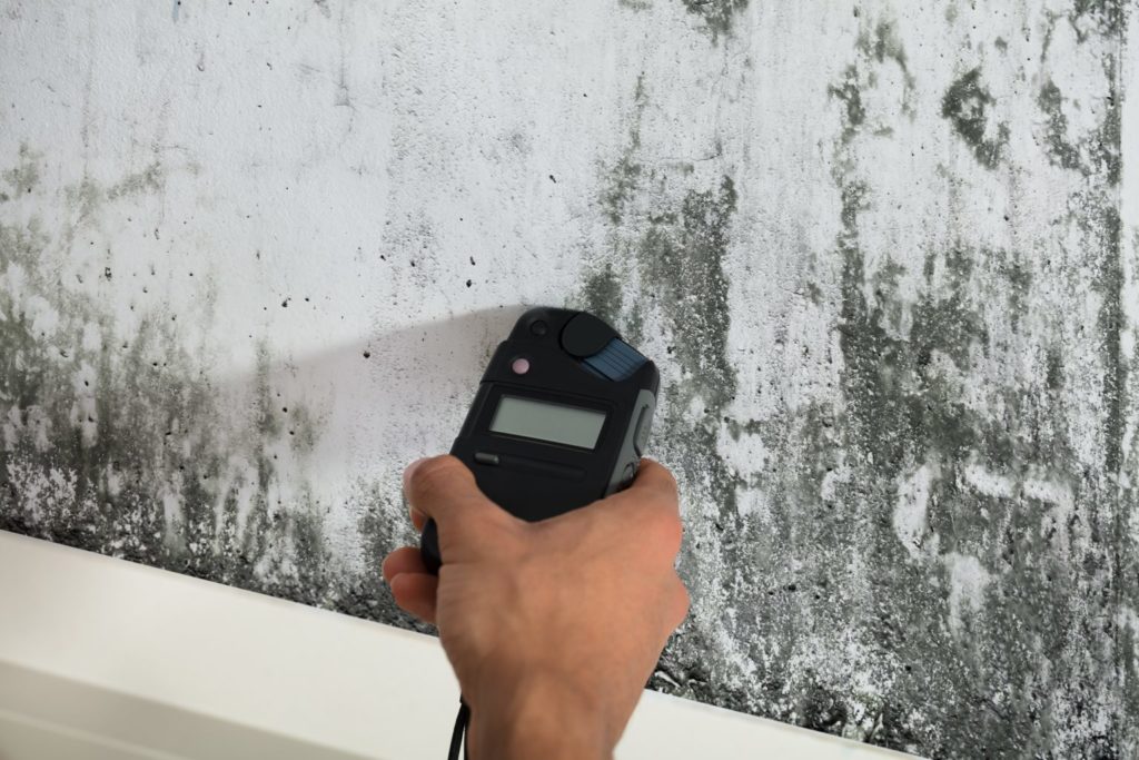 indiana mold remediation
